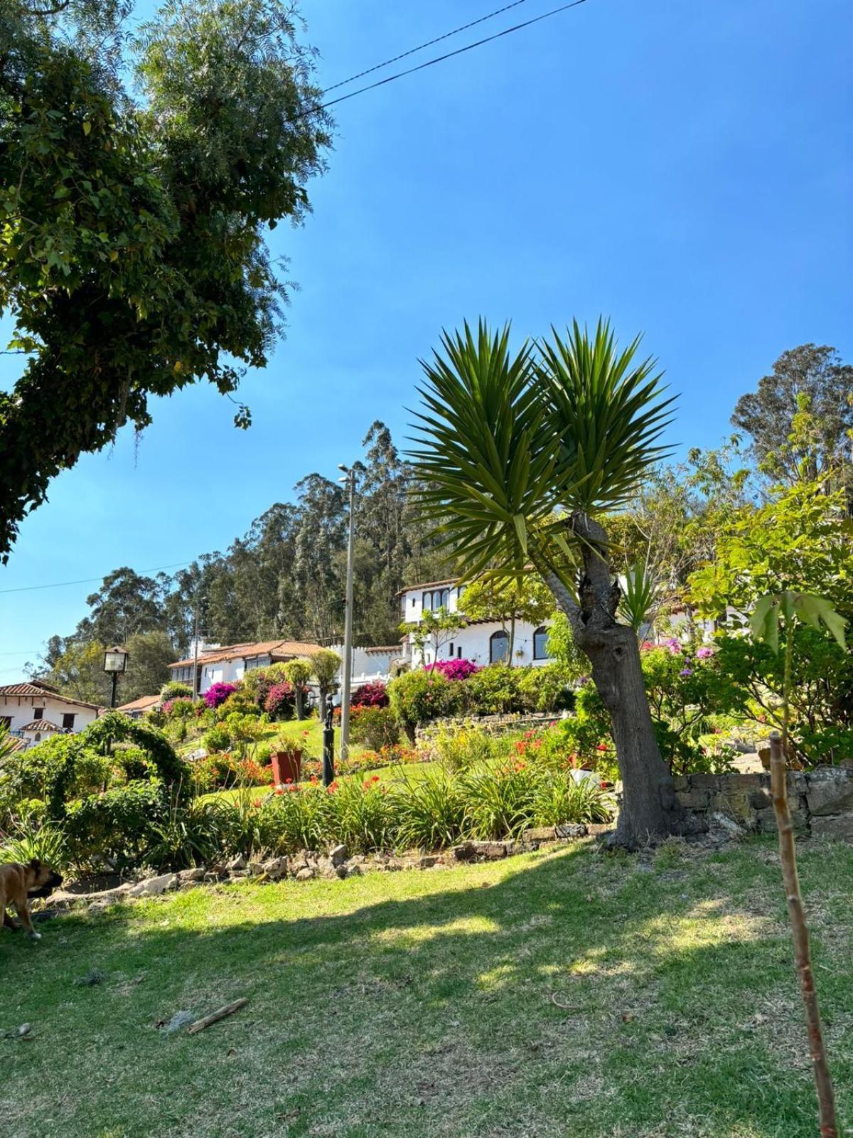 Hotel Puntalarga Nobsa Esterno foto